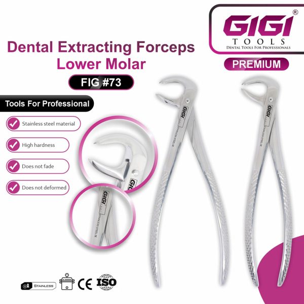 Dental Extracting Forceps Lower Molar (Fig #73)