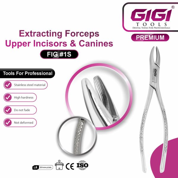 Dental Extracting Forceps Fig. 1S for Upper Incisors and Canines