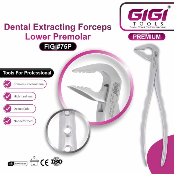 Dental Extracting Forceps Fig. #75P (Lower Premolar / Lower Third Molar)