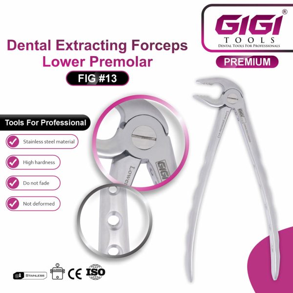 Dental Extracting Forceps Fig. #13 (Lower Premolar)