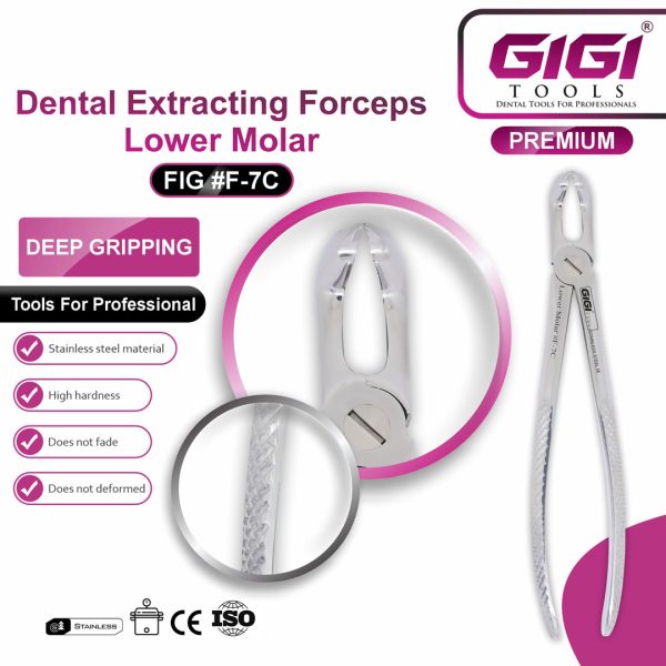 Dental Extracting Forceps Lower Molar (#F-7C)