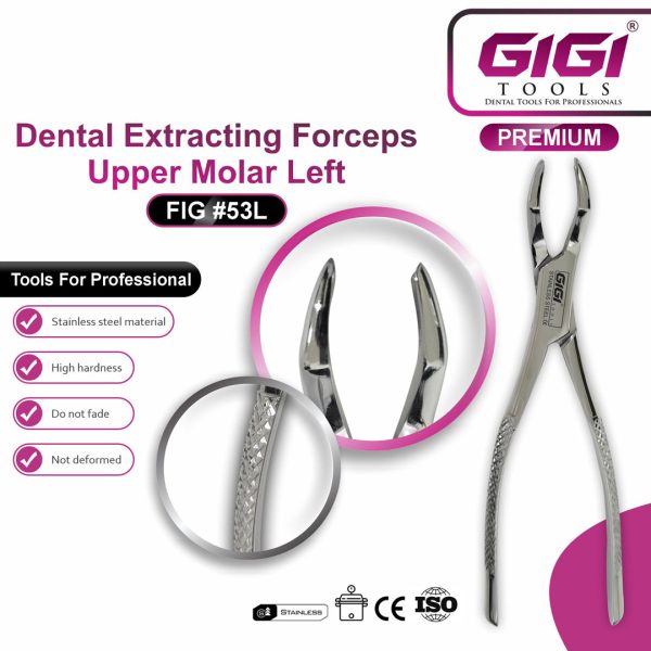 Dental Extracting Forceps Fig. 53L & 53R Upper Molar