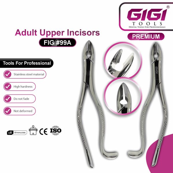 Dental Extracting Forceps Fig. 99A Kells for Adult Upper Incisors