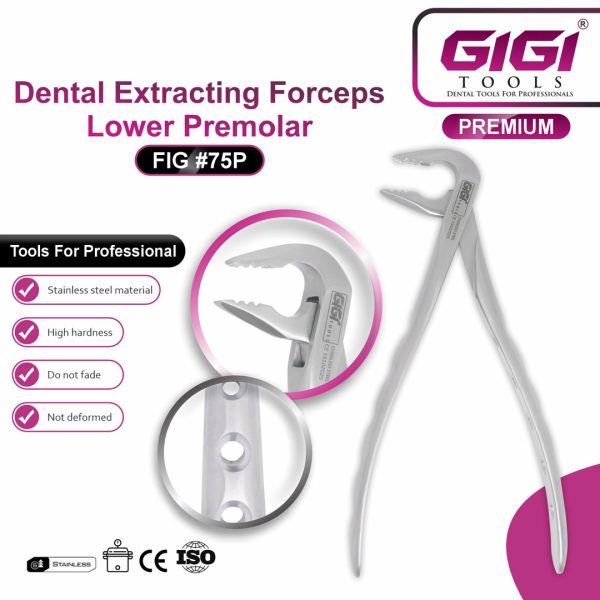 Dental Extracting Forceps Fig. #75P (Lower Premolar / Lower Third Molar)