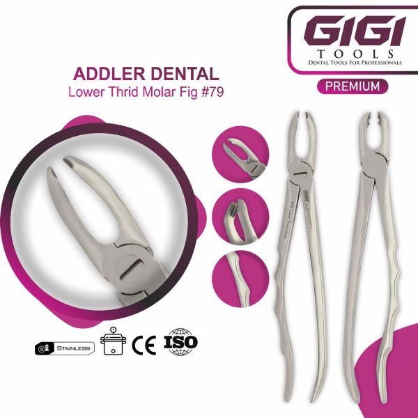 Addler 10-Piece Dental Extraction Forceps Kit (Ergonomic Wave Handle Design)