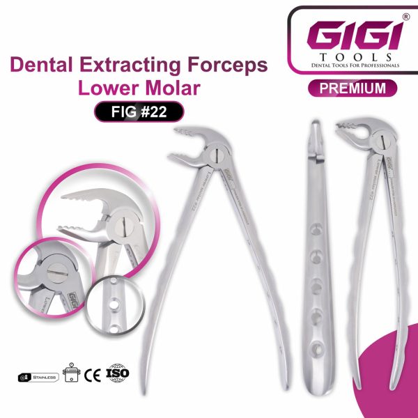 Dental Extracting Forceps Fig. #22 (Lower Molar)