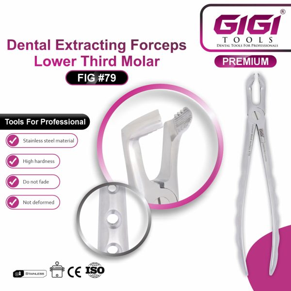 Dental Extracting Forceps Fig. #79 (Lower Third Molar)