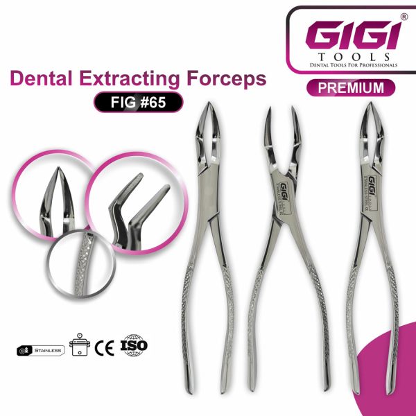 Dental Extracting Forceps Fig. 65 for Upper Roots and Fragments