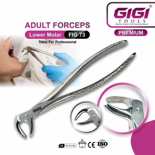 Adult Extraction Forceps Fig. 73 Lower Molars