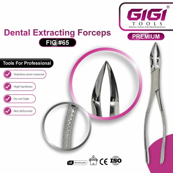 Dental Extracting Forceps Fig. 65 for Upper Roots and Fragments
