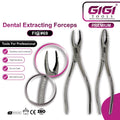 Dental Extracting Forceps Fig. 69 & 69S for Tomes Roots and Fragments