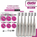 Lindo-Levien Dental Elevator Set